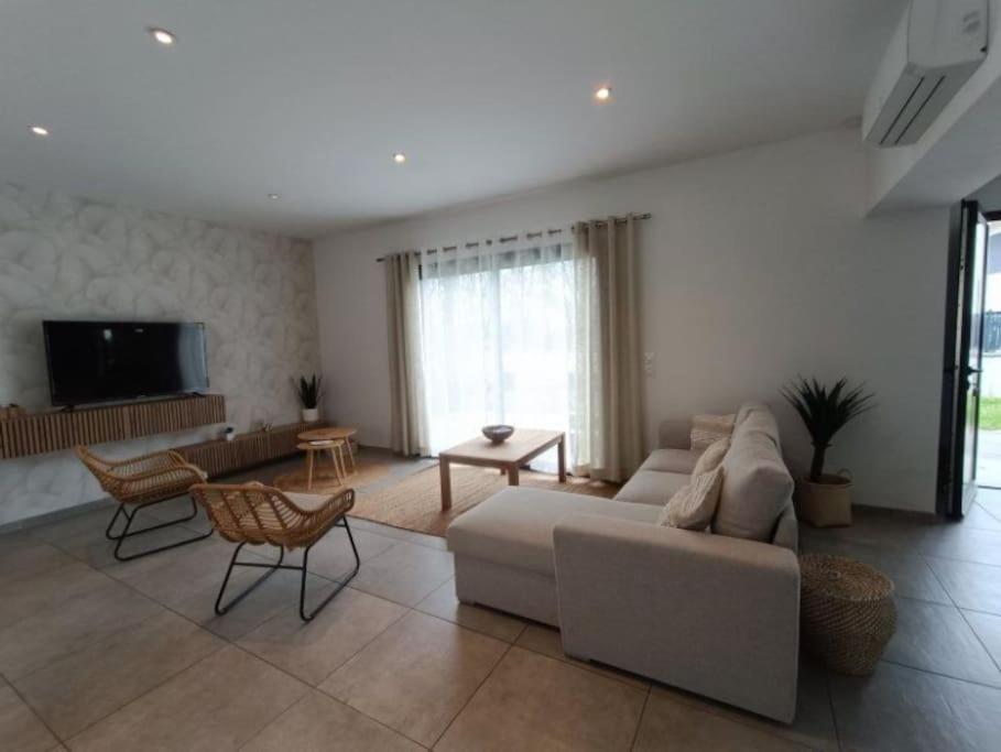 Villa Des Rives Du Tarn Avec Jacuzzi Montans エクステリア 写真
