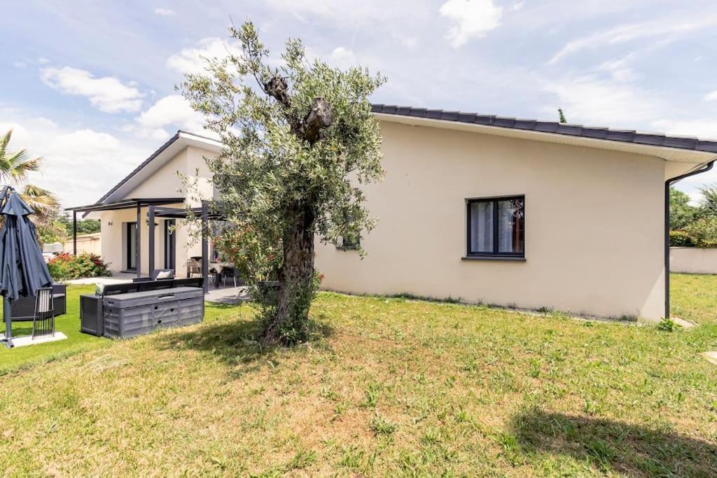 Villa Des Rives Du Tarn Avec Jacuzzi Montans エクステリア 写真
