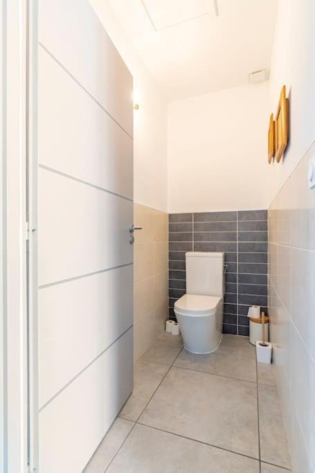 Villa Des Rives Du Tarn Avec Jacuzzi Montans エクステリア 写真